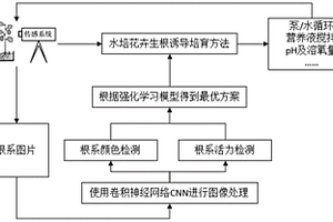 基于强化学习的水培花卉生根诱导培育方法