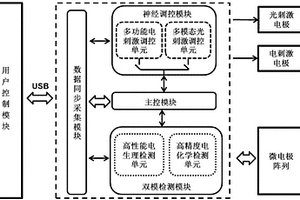 神经信息光电调控与双模检测系统