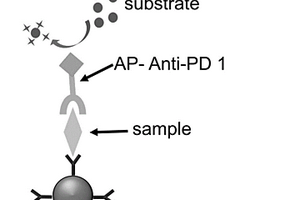 定量检测PD-L1与PD-1结合物含量的试剂盒