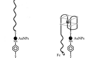 基于G-四链体和金纳米颗粒制备生物传感器检测钾离子的方法