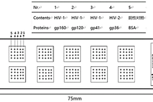 用于检测人类免疫缺陷病毒HIV1/2抗体的蛋白芯片及其制备方法