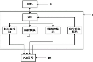 用于聚合酶链式反应的芯片、实时检测装置和系统