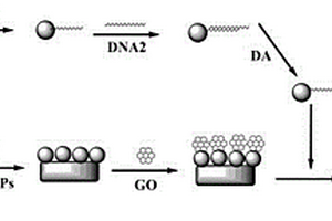 基于纳米粒子标记氧化还原循环检测多巴胺的方法