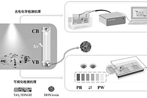 新型光电/可视化双模式传感器的构建方法及其在呕吐毒素检测上的应用