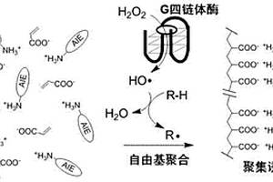 酶引发的自由基聚合反应及检测应用