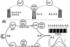 利用量子点检测草酸的方法及应用