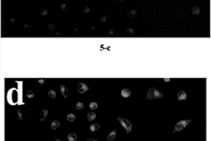 双通道荧光成像检测活细胞中微量Al3+的方法