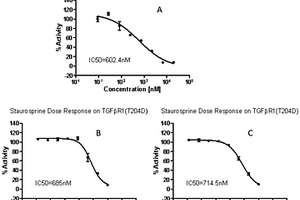 TGFβR1（T204D）酶活性的快速检测方法及其应用