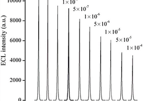 盐酸克仑特罗分子印迹膜电化学发光传感器的制备方法
