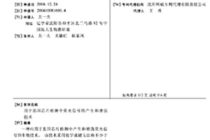 用于基因芯片检测中荧光信号的产生和增强技术