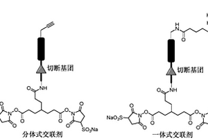 多功能化学交联剂及其制备方法与应用