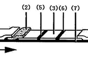 检测磺胺甲噁唑残留的免疫胶体金试纸条及其制备方法