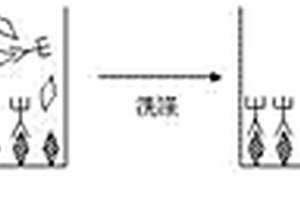 T3化学发光体外诊断试剂盒及其使用方法