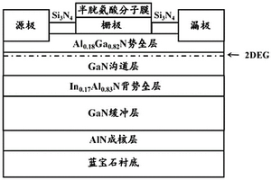 具有InAlN背势垒层的重金属离子检测传感器