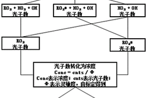 大气中有机过氧自由基的在线检测装置及方法