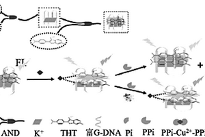 荧光生物传感器、制备方法及其对铜离子、焦磷酸根和碱性磷酸酶的检测应用