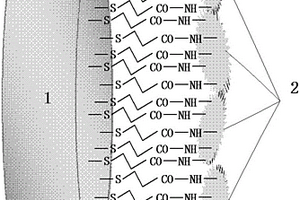 用于生化需氧量检测的电极敏感层