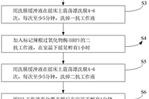 化学发光液的应用方法