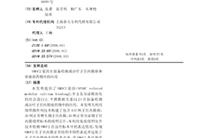 SMOC2基因在制备检测或治疗子宫内膜癌和卵巢癌药物中的应用