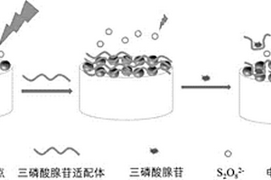 基于碳点检测ATP的修饰电极及其制备方法