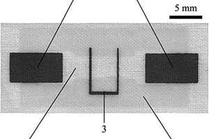 开放式U形双性电极电致化学发光布芯片及其制法和用途