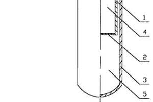 检测肝癌岩藻糖基化高尔基蛋白GP73的装置及试剂盒