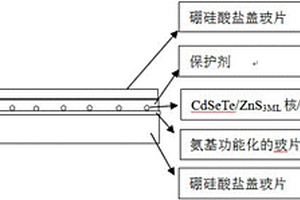 近红外量子点单光子源的制备方法及检测方法