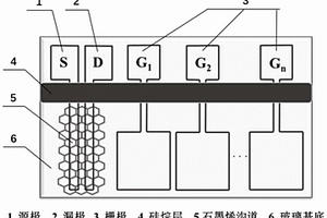 多栅极石墨烯场效应晶体管传感器阵列及多重检测方法