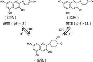 用花青素检验益生菌活性的方法