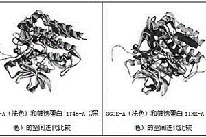 药物靶标的高通量检索方法