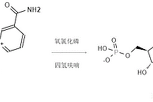 烟酰胺单核苷酸(NMN)的化学合成方法