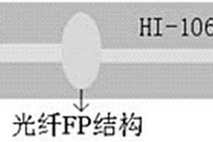 基于化学腐蚀结合放电熔接制备的双参数光纤传感器