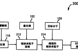 表面增强拉曼散射中使用锂盐的化学增强