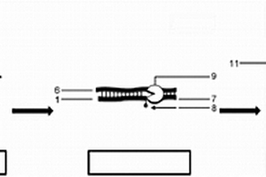利用电活性水解探针（E-TAG探针）监测实时聚合酶链式反应（PCR）的方法和装置