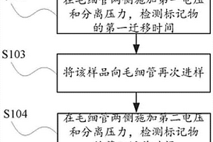 测定毛细管电泳电渗流的方法