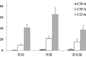 柔鱼类不同组织脂肪酸质量分数的测定方法