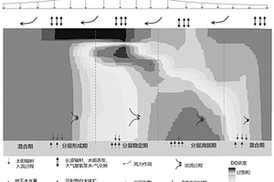 热分层水库溶解氧预测方法