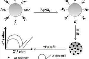 检测甲醛的Ag+-SiO<sub>2</sub>的材料及制备方法、检测方法