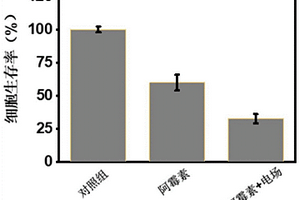 肿瘤电脉冲化学治疗系统