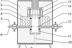 可原位监测电阻的高温高压反应釜