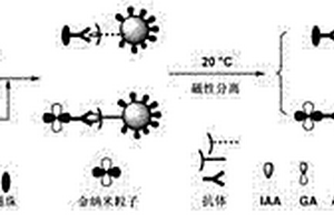 双组份植物激素的同时测定方法