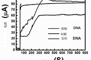 利用石墨烯修饰高电子迁移率晶体管测量DNA杂化方法