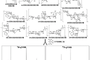 同步测定细菌多糖中多糖和磷含量的定量核磁方法