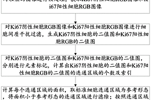 基于病理免疫组织化学的Ki67细胞核计数方法及系统