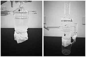 微提取-离子色谱法快速测定亚硫酸盐的方法