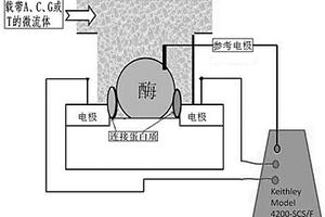 基于纳米对电极的单分子核酸测序器件