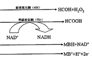 在醇类溶液中测量甲醇浓度的方法及装置