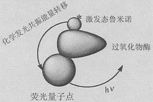 基于化学发光共振能量转移原理构建生物纳米器件的方法