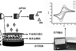 鸟苷四磷酸电化学型纳米酶传感器及其制备方法