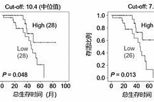 结外鼻型NK/T细胞淋巴瘤预后标志物及其应用和预后预测模型及其构建方法